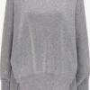 Faina Fijngebreide Truien Trui Dames Zilver 1 Faina Fijngebreide Truien Trui Dames Zilver -Faina Verkoop 25ed2b6b0b643cd57ccdab00b1164253 1