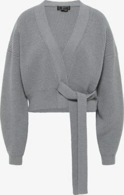 Faina Vesten Gebreid Vest Dames Grijs