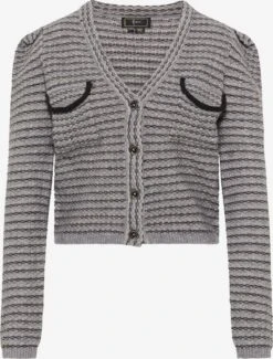 Faina Vesten Gebreid Vest Dames Grijs Gemêleerd