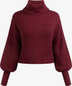 Faina Coltruien Trui Koosh Dames Donkerrood