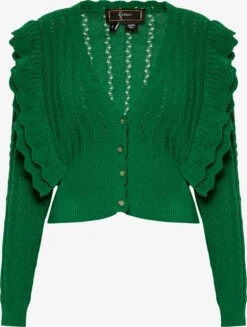 Faina Vesten Gebreid Vest Dames Groen