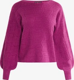 Faina Basic Truien Trui Dames Fuchsia