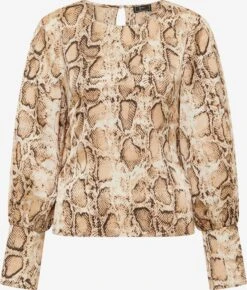 Faina Blouses & Tunieken Blouse Dames Beige