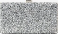 Faina Clutches Clutch Dames Zilver